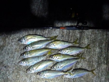 フロートゲーム