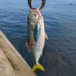 相変わらずのチビ