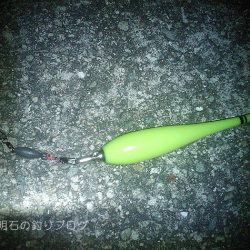 大サバの夜釣り