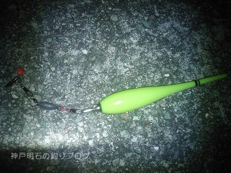 大サバの夜釣り