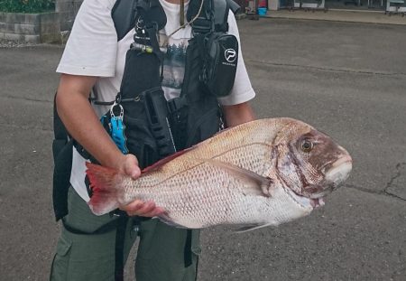 大雨濁りの中サゴシと同行者さんに大型マダイ!(@_@)