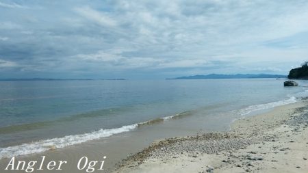 サビキで良型アジ2桁!