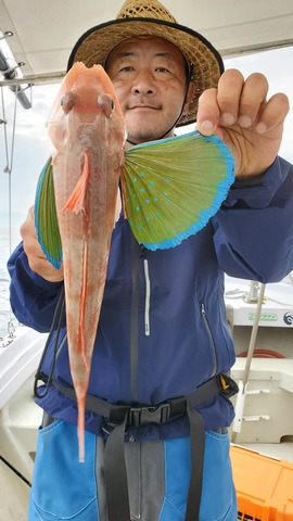 遊漁船 ニライカナイ 釣果