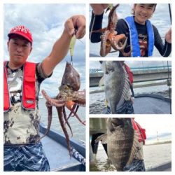 シーマジカル 釣果