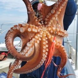 遊漁船　ニライカナイ 釣果