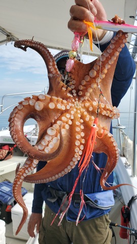 遊漁船　ニライカナイ 釣果