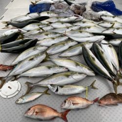 ミタチ丸 釣果