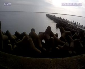 鹿島港魚釣園 釣果