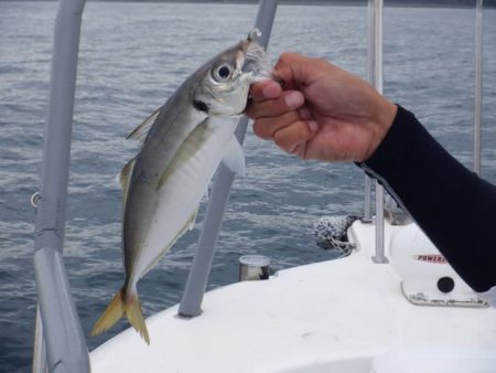開進丸 釣果