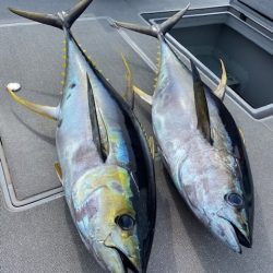 へいみつ丸 釣果