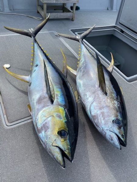 へいみつ丸 釣果