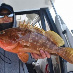 Fisherman Dreams DI 釣果