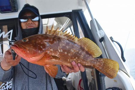 Fisherman Dreams DI 釣果