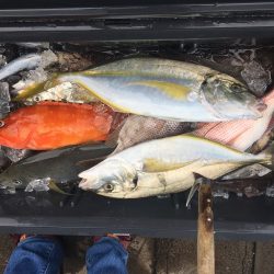 伊豆下田フィッシング 釣果