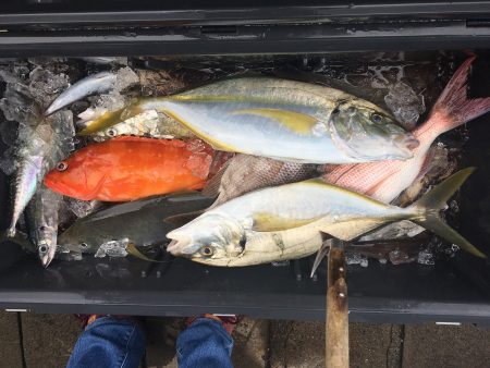 伊豆下田フィッシング 釣果