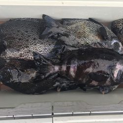 伊豆下田フィッシング 釣果