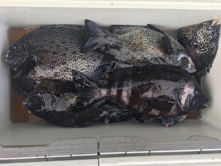 伊豆下田フィッシング 釣果