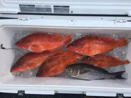 伊豆下田フィッシング 釣果