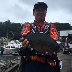 伊豆下田フィッシング 釣果