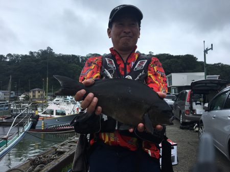 伊豆下田フィッシング 釣果