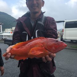伊豆下田フィッシング 釣果
