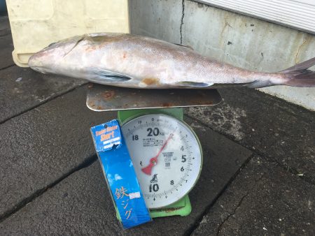 伊豆下田フィッシング 釣果