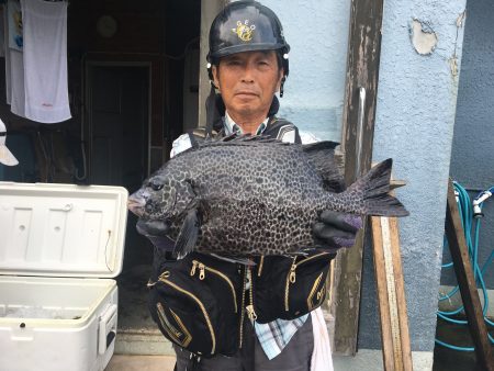 伊豆下田フィッシング 釣果