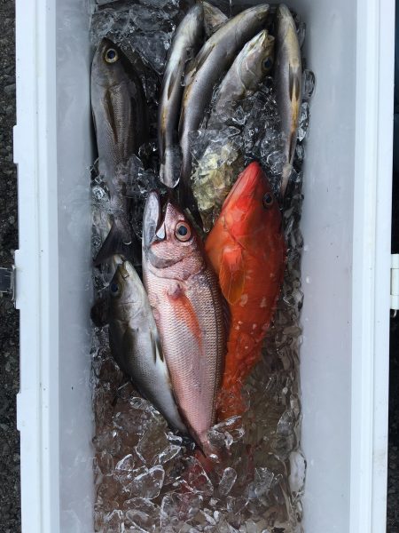 伊豆下田フィッシング 釣果