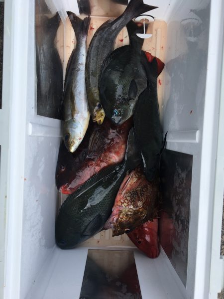 伊豆下田フィッシング 釣果