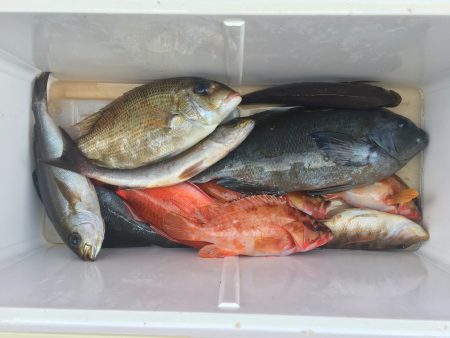 伊豆下田フィッシング 釣果