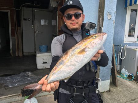 伊豆下田フィッシング 釣果
