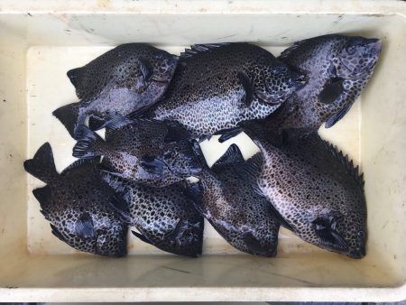 伊豆下田フィッシング 釣果