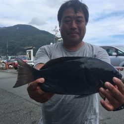 伊豆下田フィッシング 釣果