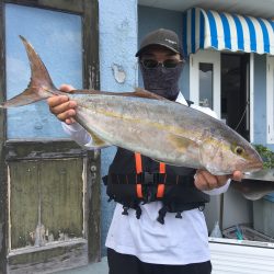 伊豆下田フィッシング 釣果