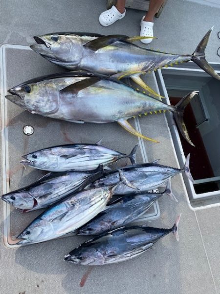 へいみつ丸 釣果