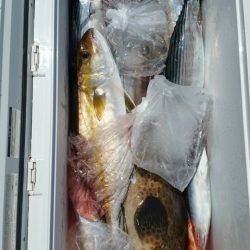 第五慶門丸 釣果