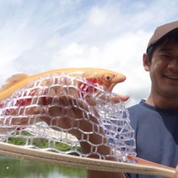 フィッシングレイクたかみや 釣果