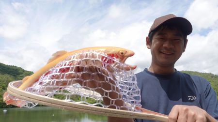 フィッシングレイクたかみや 釣果