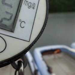 フィッシングレイクたかみや 釣果