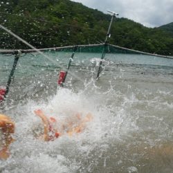 フィッシングレイクたかみや 釣果