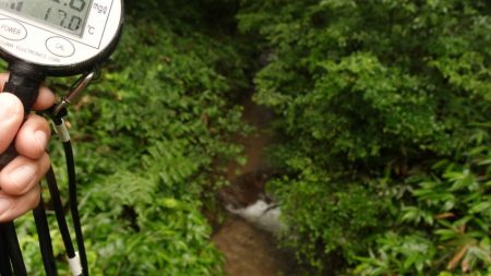 フィッシングレイクたかみや 釣果