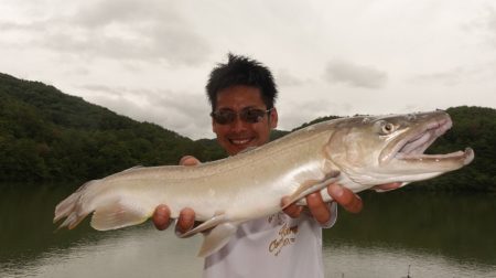 フィッシングレイクたかみや 釣果