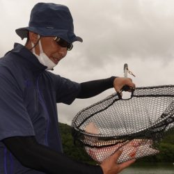フィッシングレイクたかみや 釣果
