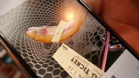 フィッシングレイクたかみや 釣果