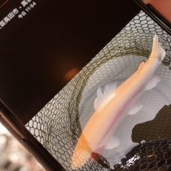 フィッシングレイクたかみや 釣果