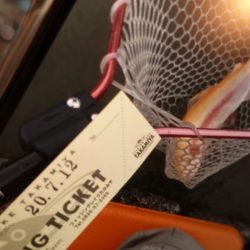 フィッシングレイクたかみや 釣果