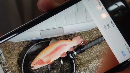 フィッシングレイクたかみや 釣果