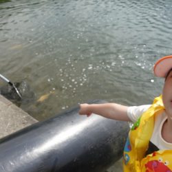 フィッシングレイクたかみや 釣果