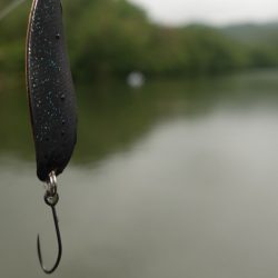 フィッシングレイクたかみや 釣果