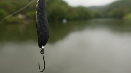 フィッシングレイクたかみや 釣果